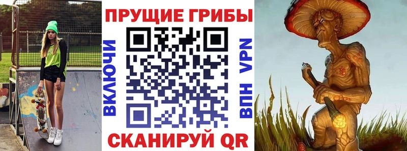 Галлюциногенные грибы Cubensis  Купить где  Кочубеевское 